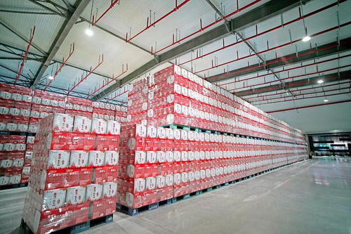 雪花啤酒涼山工廠竣工，開啟高質量發展新征程